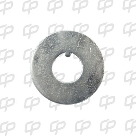 ARANDELA CACHO FORD CARGO 815 - H-7/8