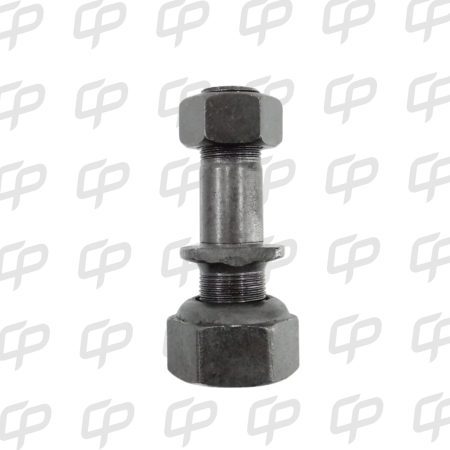 PRNO CONJ FOTON FSR FRR M/08-11 DEL R-NAL