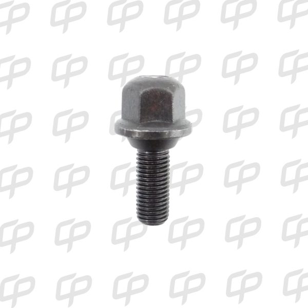 PERNO RENAULT 9-18 TWINGO CLIO M12X1.50X25